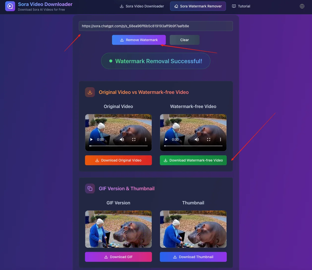 Download watermark-free video
